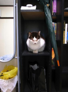 Гостиница Tama Ryokan  Кото